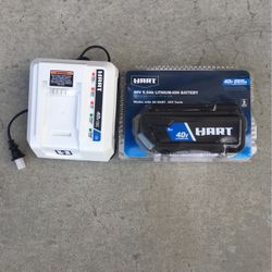 Battery charger and battery