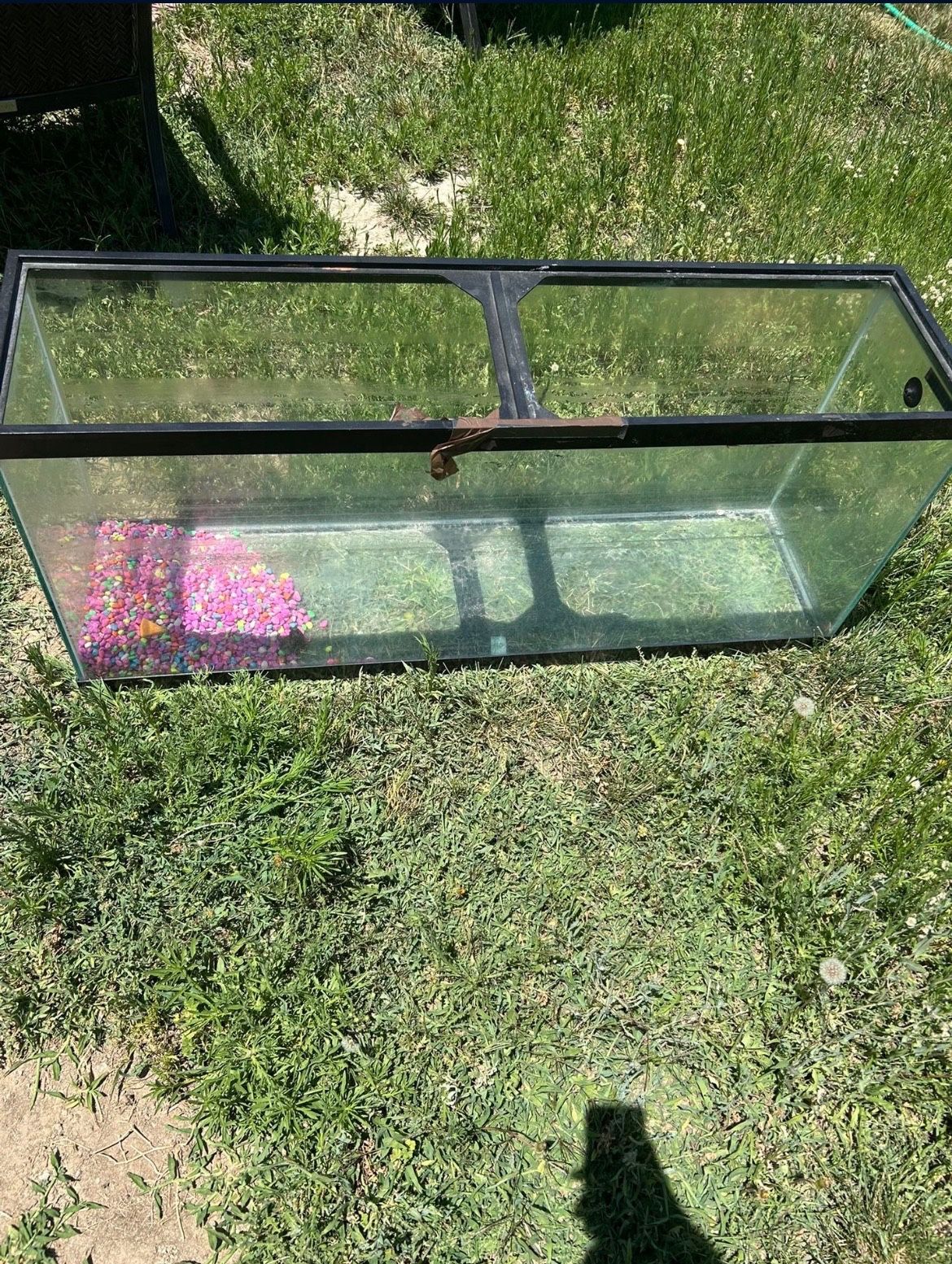 Fish Tank