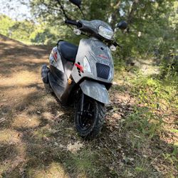 2025 Ice bear Furry 50