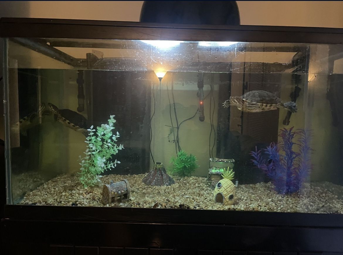 150 Gallon Aquarium Fish Tank With Stand , Filter And Lights 