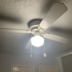 42 “ inch ceiling fan with light