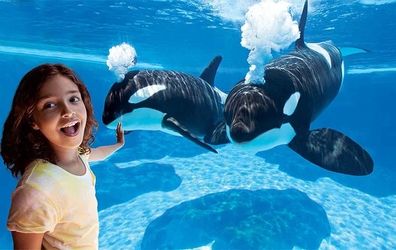 SeaWorld tickets