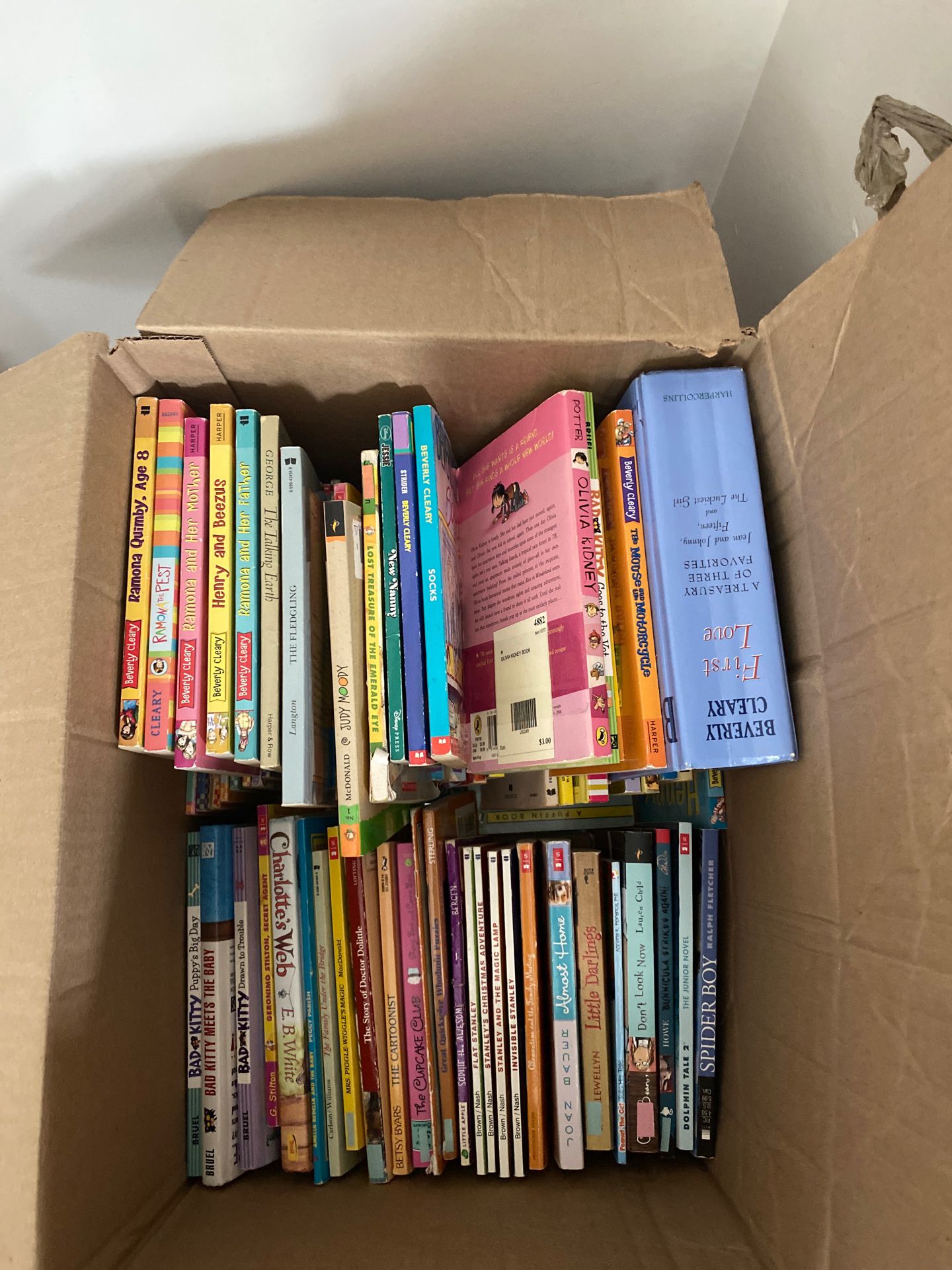 HUGE lot of books kids books