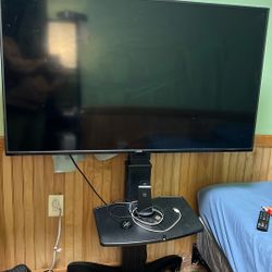 TV With Stand