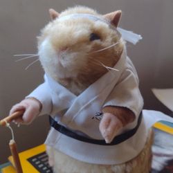 Kung Fu Hamster Batteries Included