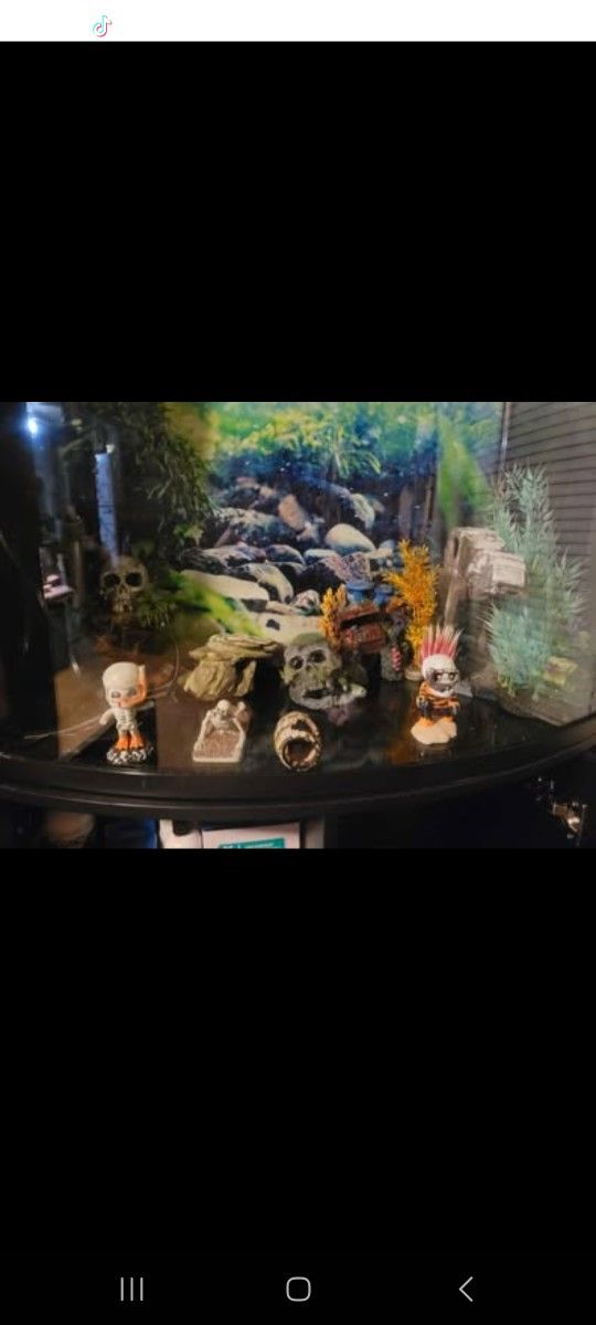 35 Gallon Fish Tank Everything Included Ecsept Fish