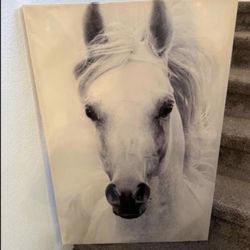Horse Canvas 