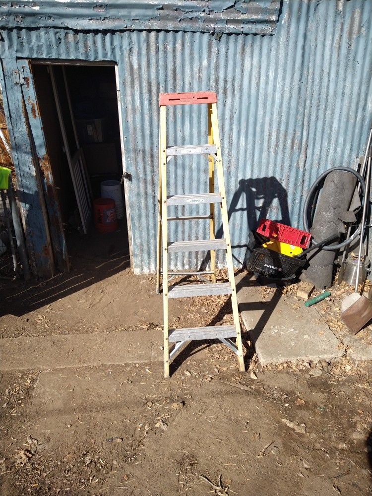 6 Foot Ladder