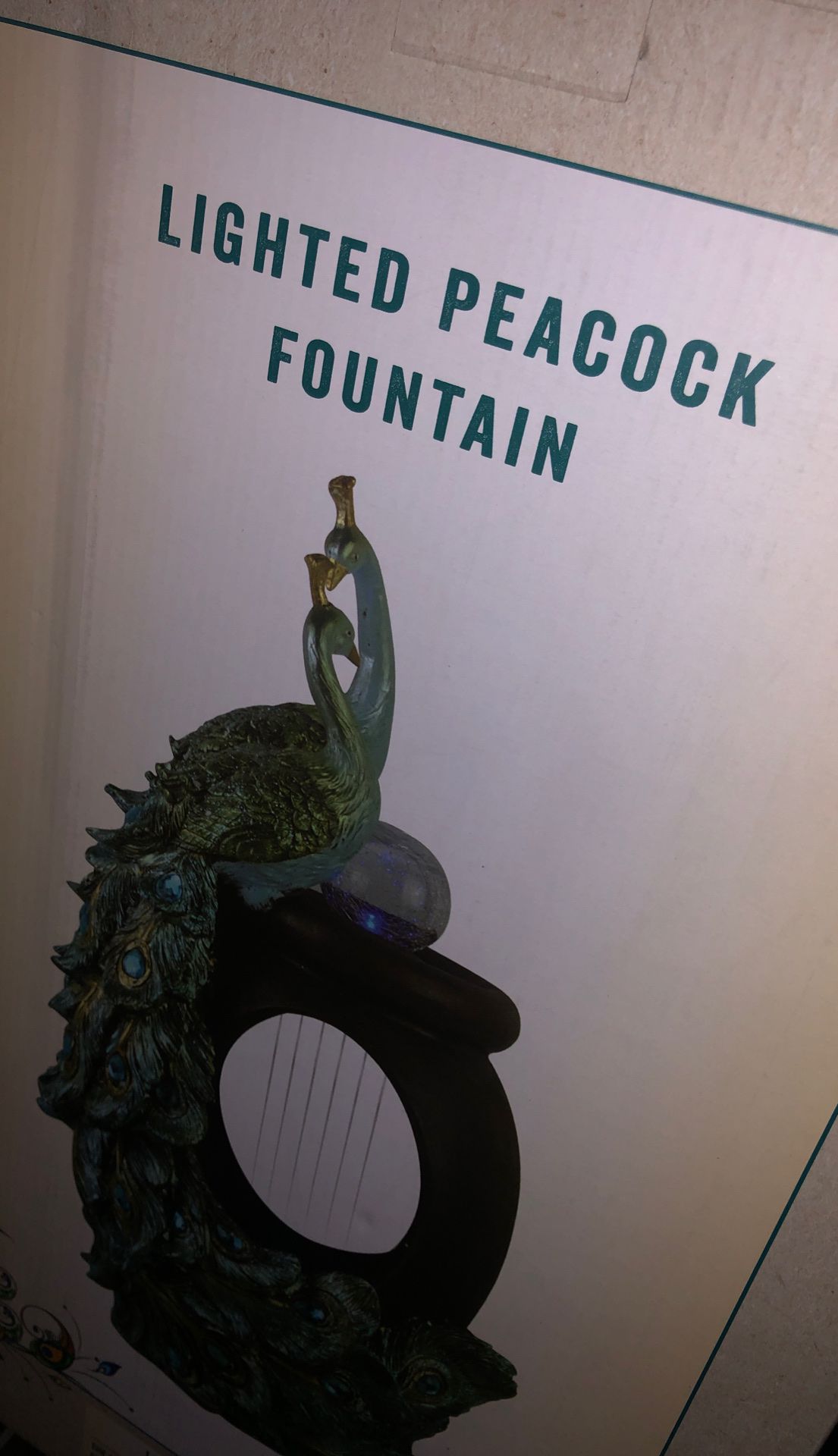 Beautiful peacock Fountain