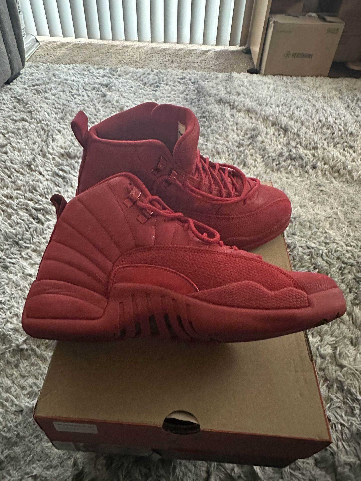 Air Jordan 12 Retro