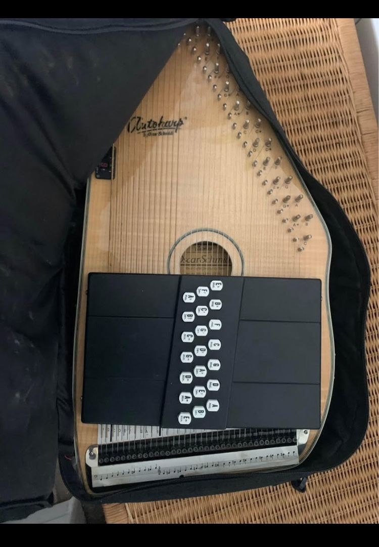 Autoharp