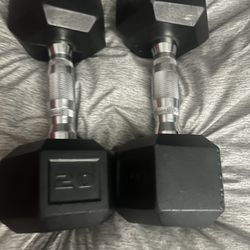2 20lb Dumbbells 
