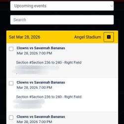 Savannah Banana Ball Baseball Anaheim Stadium March 28 3/28 vs Clowns