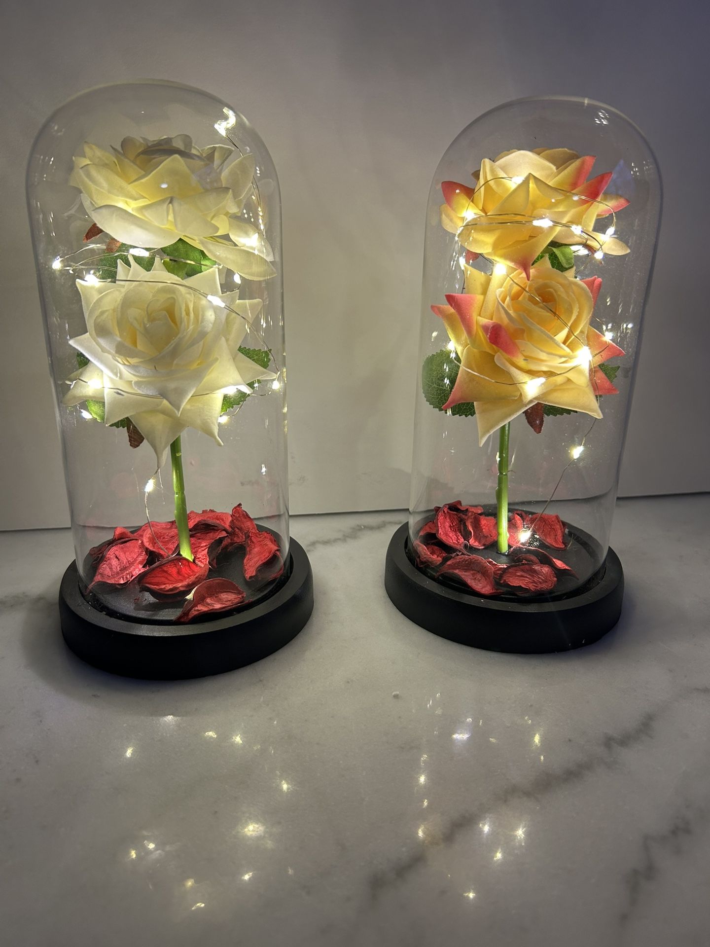 Yellow And White Rose With Rose Petals In Glass Dorm