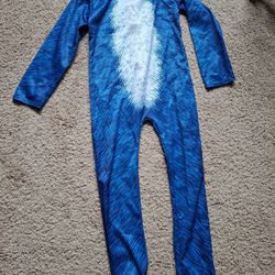 Sonic Halloween Costume 