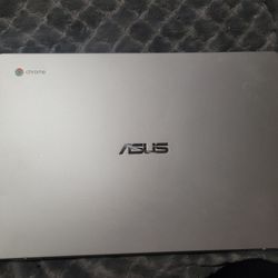 ASUS 15.6"ChromebookLaptop-Intel Processor N3350- 4GBRAM-64GB Storage-Silver (C523NA-TH44F)
