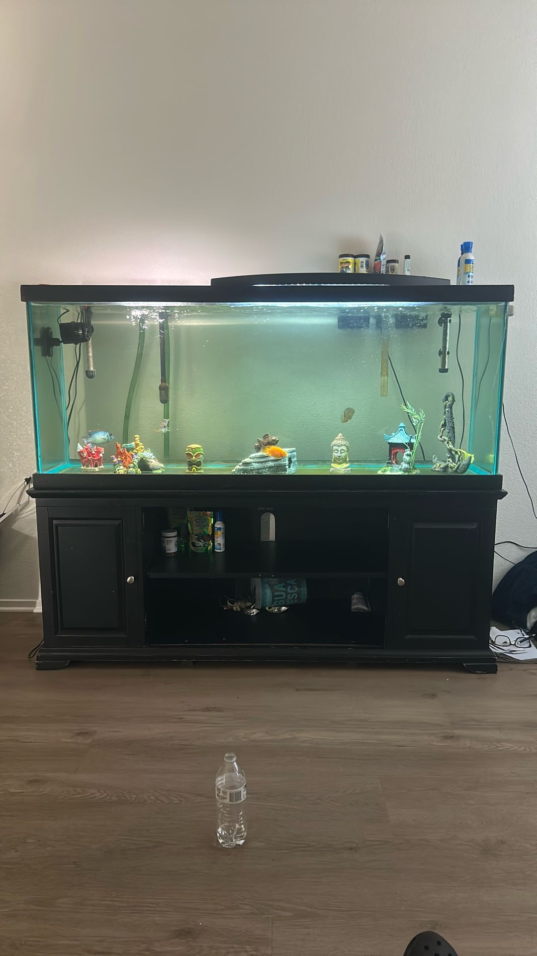 110 Gallon Fish Tank Custom