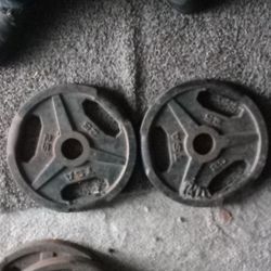 TSA 25 Lbs Weight Plates 