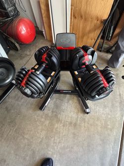 Bowflex dumbbells