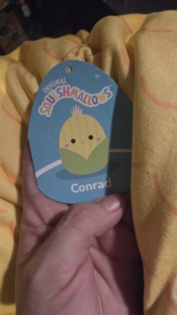 Squishmallow Brand New 