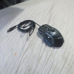A gameing mouse and it does work
