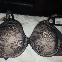 36c Brand New Push Up Bras 