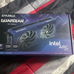Intel Arc B570 10gb 