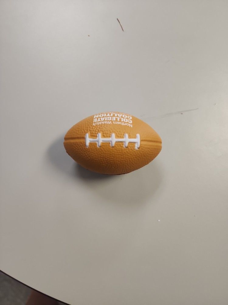 Squishy Fidget Football