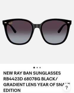 Ray Ban Sunglasses 