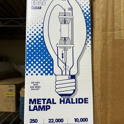 Metal Halide Bulb