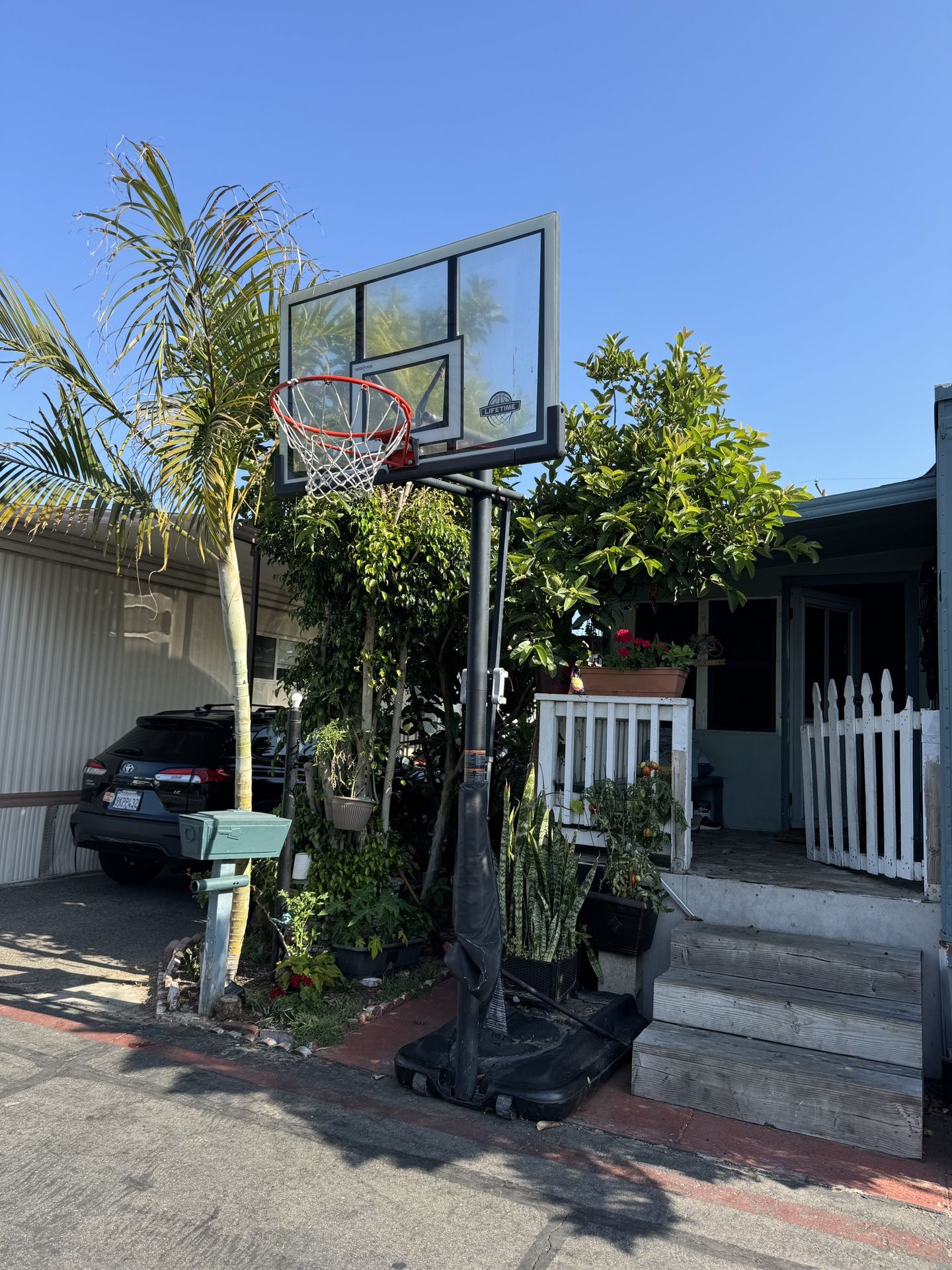 Basketball Hoop