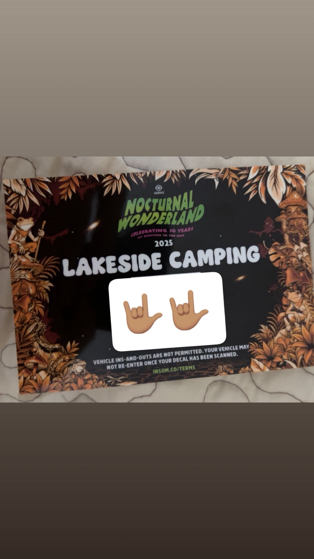 Nocturnal Lakeside Camping Pass
