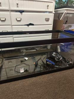 40 Gallon Tank Water Filter & Aquarium Heather & Aquarium Air Pump