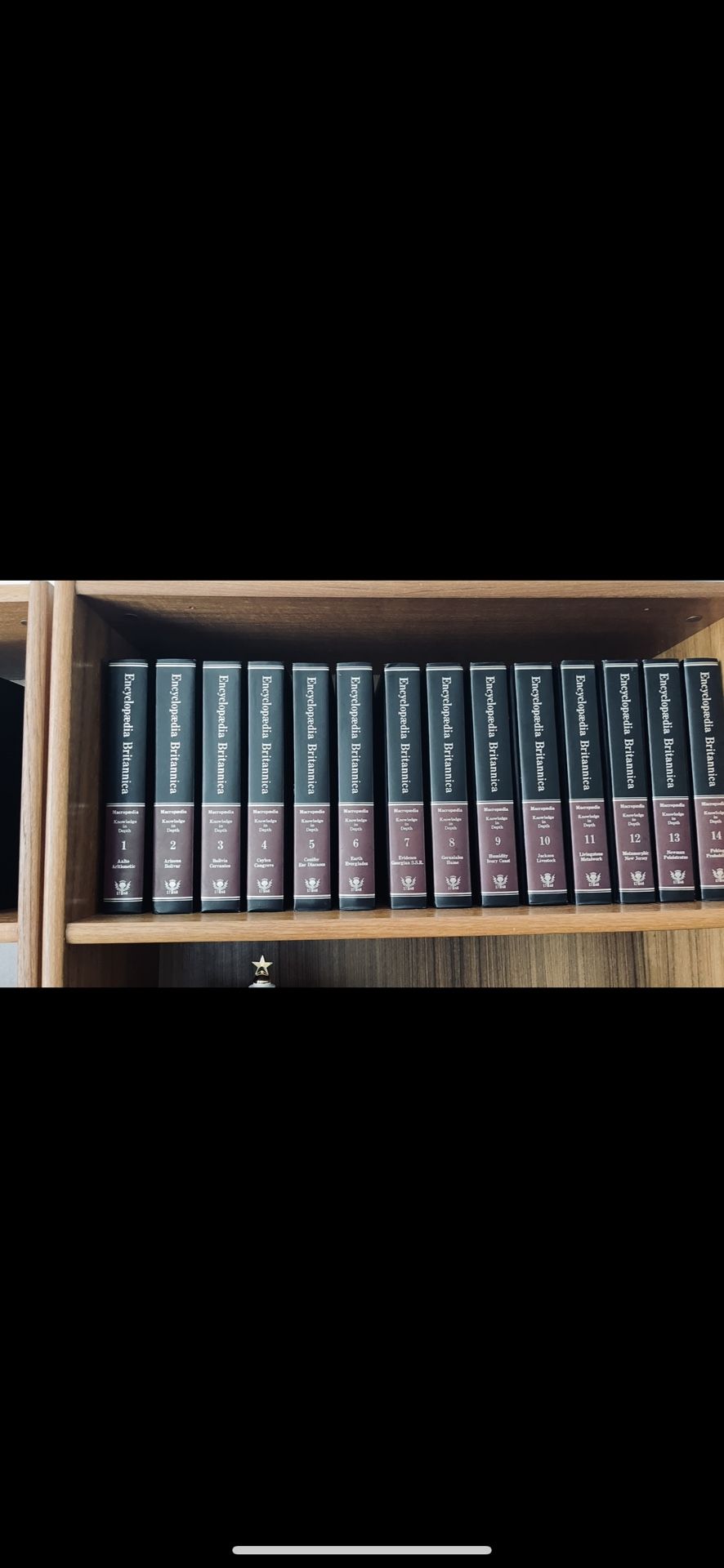 encyclopedia britannica full set 1973 edition