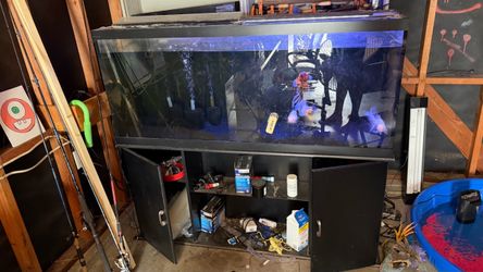 Free 125 gallon fish tank
