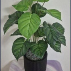 *** REDUCED *** Faux 34" Calathia Potted Plant with Crushed Flourite Stone in a 14" Tall Resin Planter @ Lasting Creations