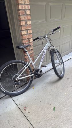 Trex bike