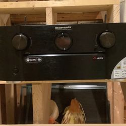 Maranta Sr7011 Reciever