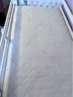 Naturepedic Organic cotton Twin mattress