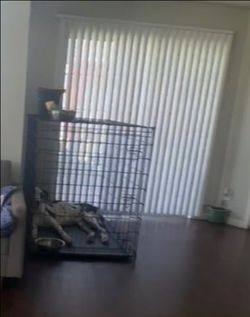 XXL Dog Crate – Great Dane Size