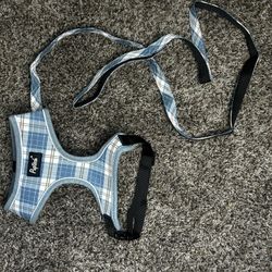 Dog Harness And Leash Set