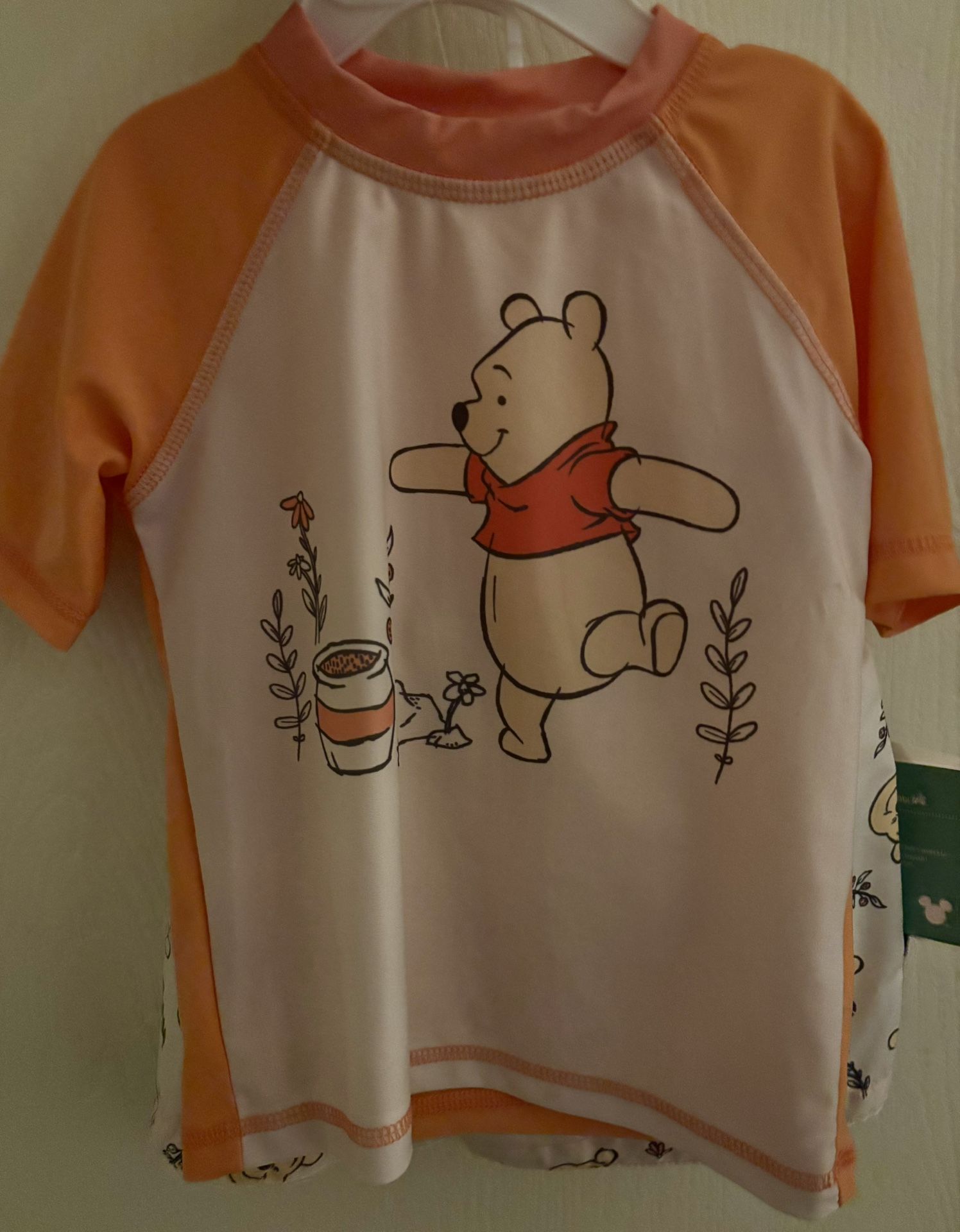 Disney Winnie the Pooh Swimwear