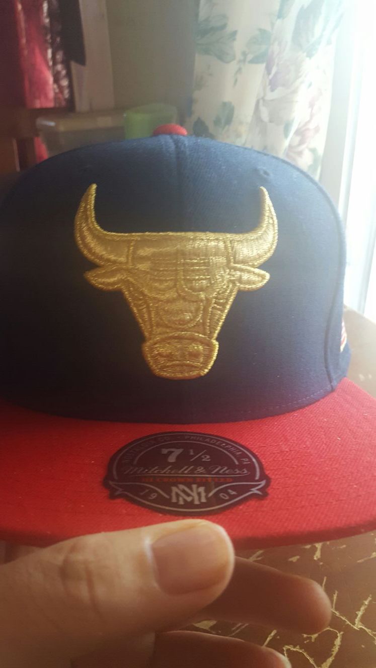 Bulls hat