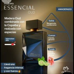 Esencial Ould Masculino 