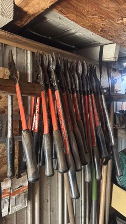 pruning for grape para podar uva