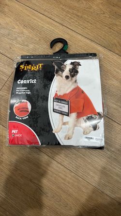 Dog costume