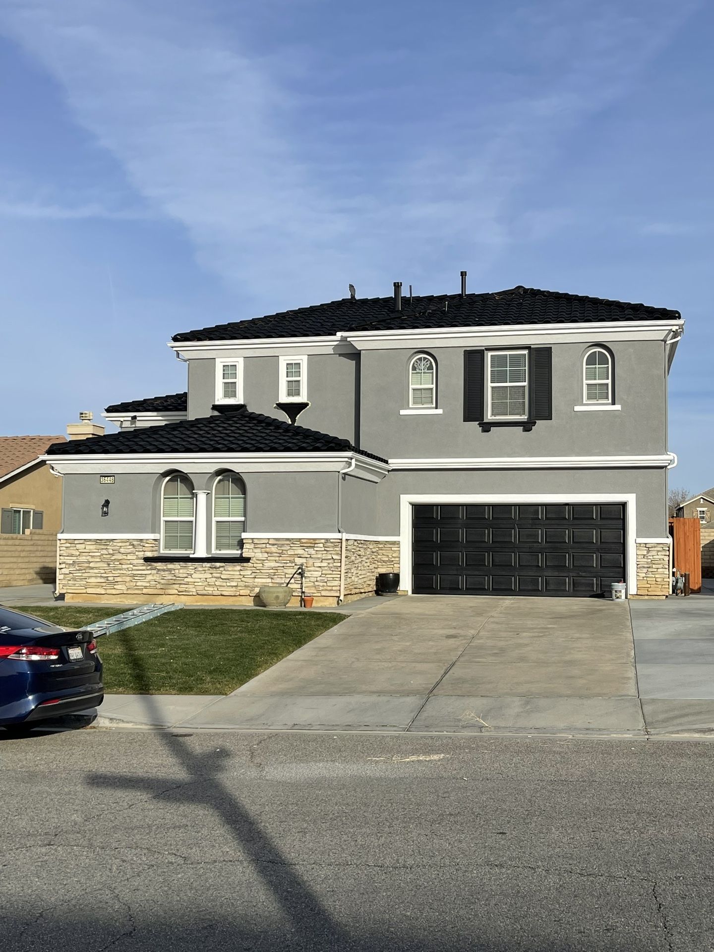 Garage door painting