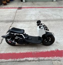Honda Ruckus