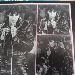 ELVIS PRESLEY,  Authentic , True Concert Recordings 