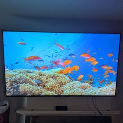 Huge Sony Bravia 4K 65" UHD TV 